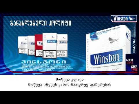 Winston 60 year anniversary | ვინსტონის 60 წლის იუბილე